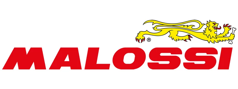 LogoType_Malossi_20151